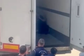 Sakarya’da 24 düzensiz göçmen yakalandı