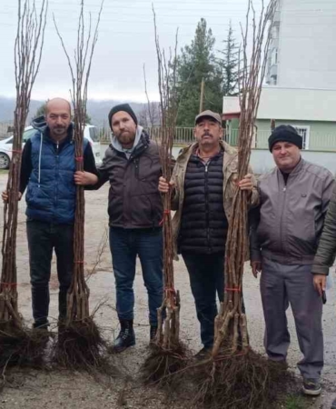 "Meyveciliği Geliştirme" projesi Pazaryeri’nde hayata geçti