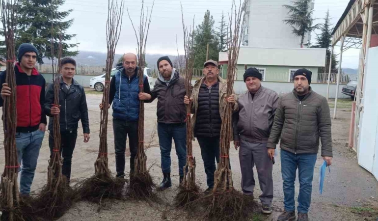 "Meyveciliği Geliştirme" projesi Pazaryeri’nde hayata geçti