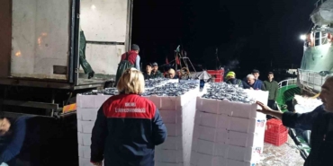 Demirköy’de hamsi denetimi