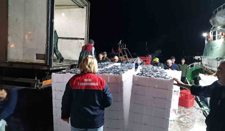 Demirköy’de hamsi denetimi