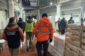 Bursa’da balık halinde gece operasyonu...615 kilo istavrite el konuldu