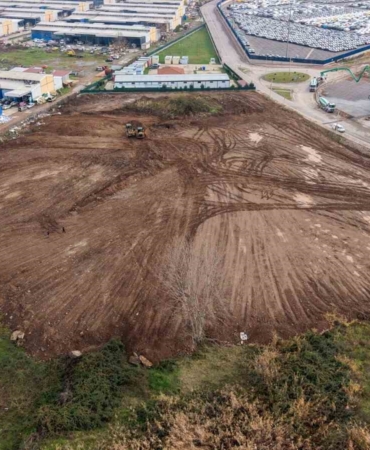 Sokak hayvanlarının yaşam alanı genişletiliyor