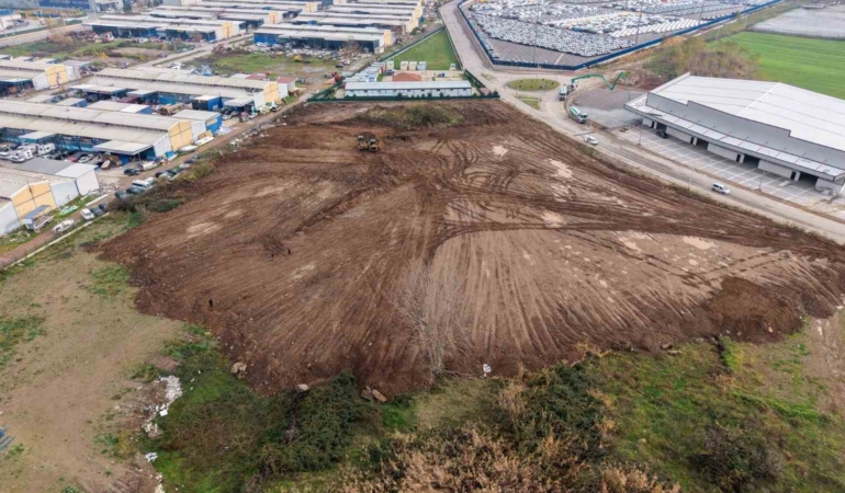 Sokak hayvanlarının yaşam alanı genişletiliyor