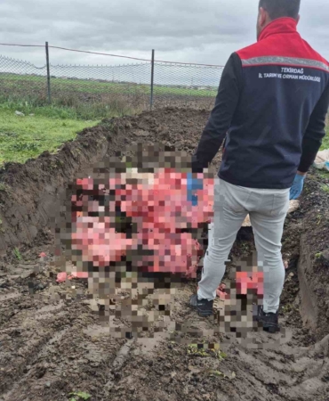 Tekirdağ’da 1 ton menşei belirsiz hayvansal ürün imha edildi