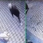 Bursa’da pazar arabası hırsızlığı