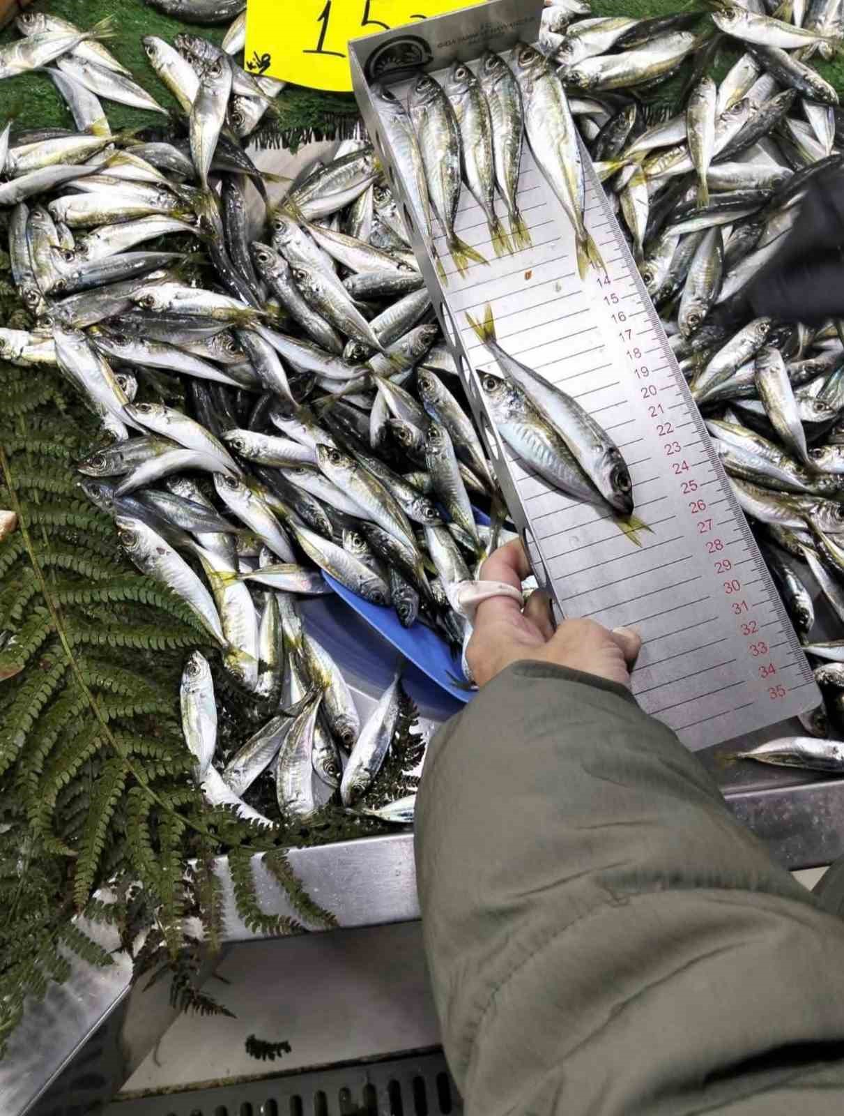 Küçük boy balık satışı yapan iş yerine ceza