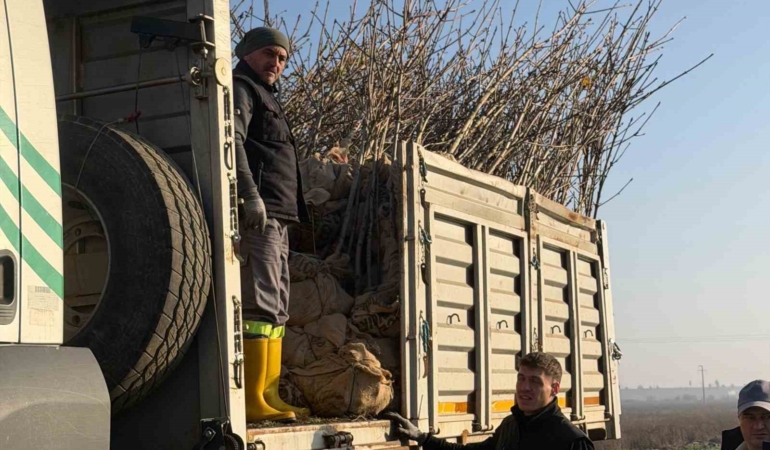 Bandırma’nın 55’inci kırsal mahallesinde 350 ağaç toprakla buluştu