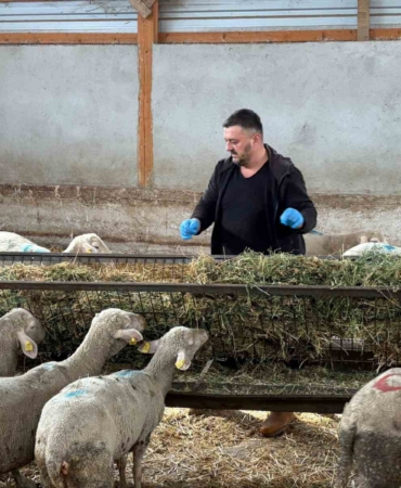 Şap mağduru üreticiler destek bekliyor