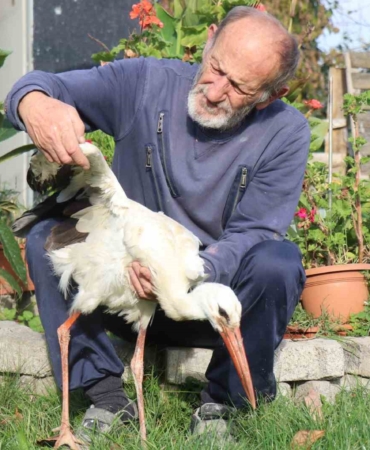 Annesinin yuvadan attığı leyleğe, mahalleli anne ve baba oldu