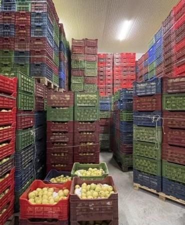 Soğuk Hava Deposu tam kapasite hizmet veriyor