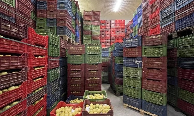 Soğuk Hava Deposu tam kapasite hizmet veriyor