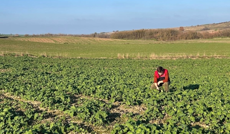 Kırklareli’nde kanola gelişimi inceleniyor