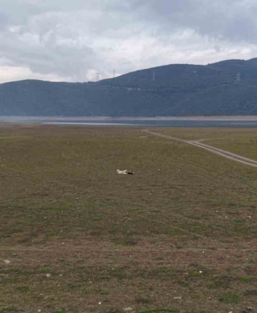 Bursa’da bir göl daha yok oluyor...