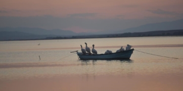 Karacabey’de çeltik ekimi yasaklandı