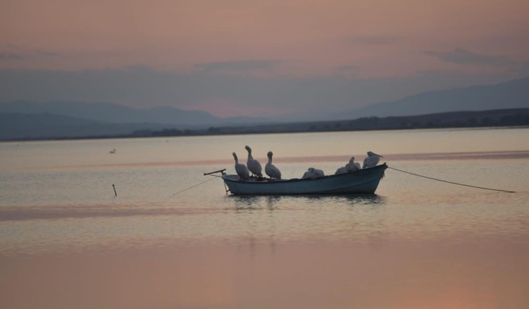 Karacabey’de çeltik ekimi yasaklandı