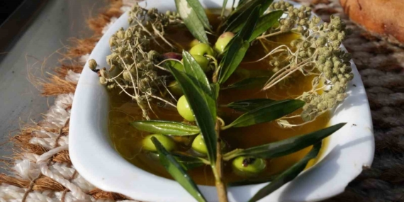 Oleolog Dr. Kıvrak: "Erken ve olgun hasat zeytinyağları farklı içeriklere sahiptir"