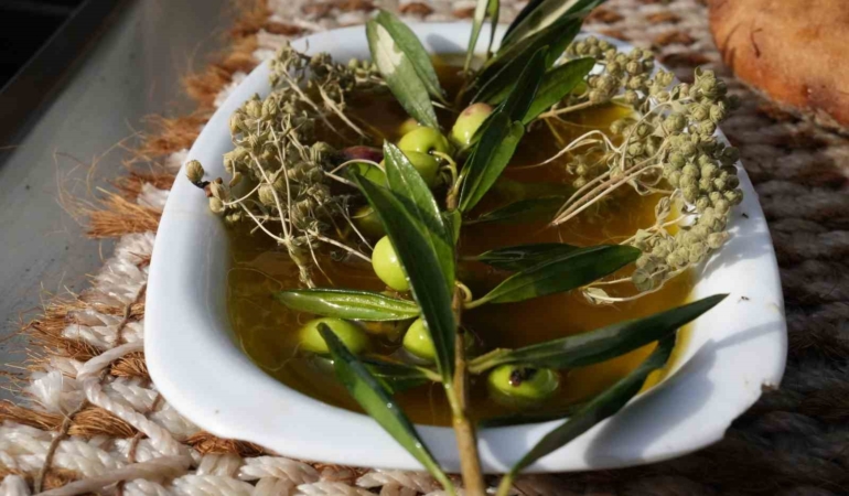 Oleolog Dr. Kıvrak: "Erken ve olgun hasat zeytinyağları farklı içeriklere sahiptir"