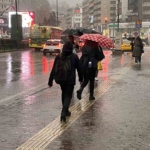 Bursalı çiftçilerin yağışlarla yüzü güldü