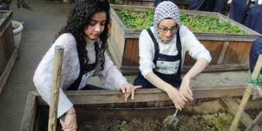 Zeytinburnu’nda ergoterapi öğrencileri engeli olan bireylerle birlikte fide ekti