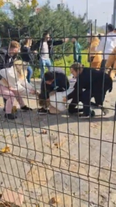 Kartal Anadolu Adliyesi önünde iki aile arasında yumruk yumruğa kavga çıktı