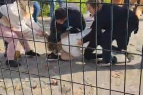 Kartal Anadolu Adliyesi önünde iki aile arasında yumruk yumruğa kavga çıktı