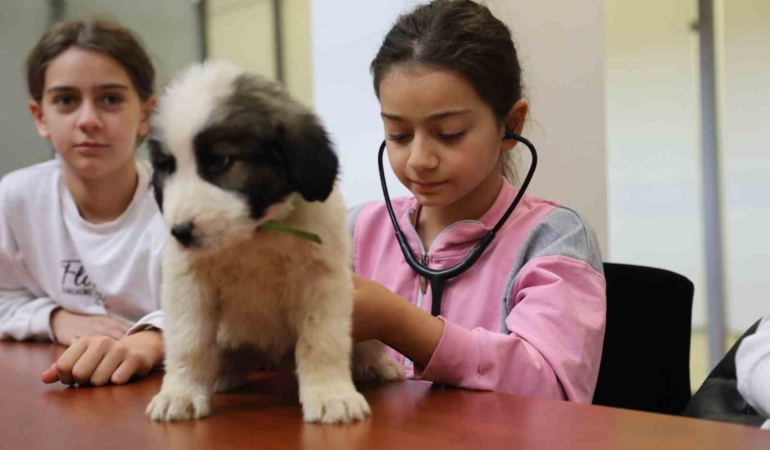 Minik veterinerler görev başında