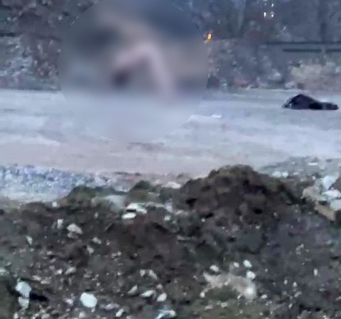 Köprü altında akıllara durgunluk veren görüntüler