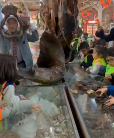Minikler mumya balıkları büyük bir ilgiyle inceledi