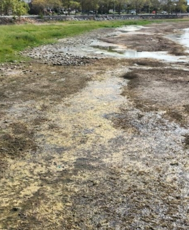 İznik Gölü kuruyor: Cargill’in yer altı sularından yılda 1 milyon metreküpten fazla su çektiği ileri sürülüyor