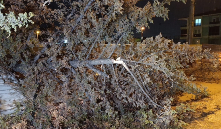 İnegöl’de rüzgarın etkisiyle ağaç devrildi