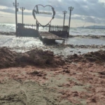Tekirdağ’da lodos kıyıyı vurdu, kızıl yosunlar sahili kapladı