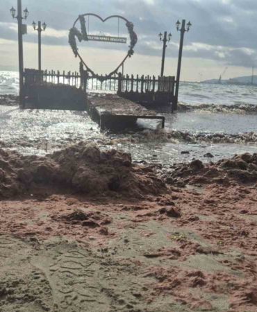 Tekirdağ’da lodos kıyıyı vurdu, kızıl yosunlar sahili kapladı