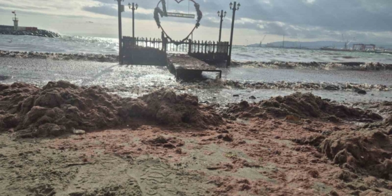 Tekirdağ’da lodos kıyıyı vurdu, kızıl yosunlar sahili kapladı