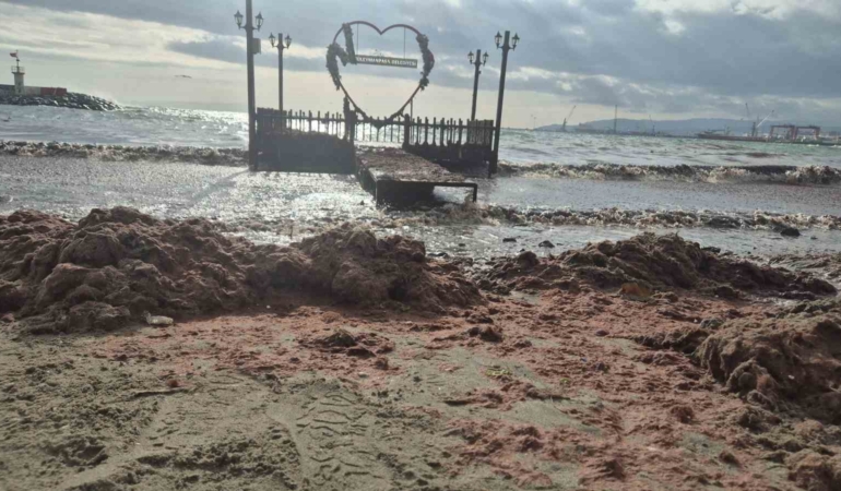 Tekirdağ’da lodos kıyıyı vurdu, kızıl yosunlar sahili kapladı