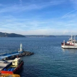 Çanakkale Boğazı sisin etkisini yitirmesiyle tekrar trafiğe açıldı