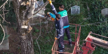 Başiskele’de budanan ağaç dalları ihtiyaç sahiplerine yakacak oluyor