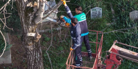Başiskele’de budanan ağaç dalları ihtiyaç sahiplerine yakacak oluyor