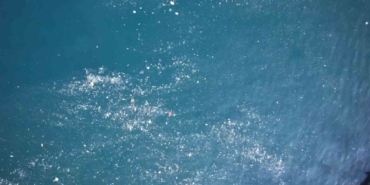 Balat sahilinde olta atan balıkçılar deniz yüzeyinde oluşan kirlilikten şikayetçi