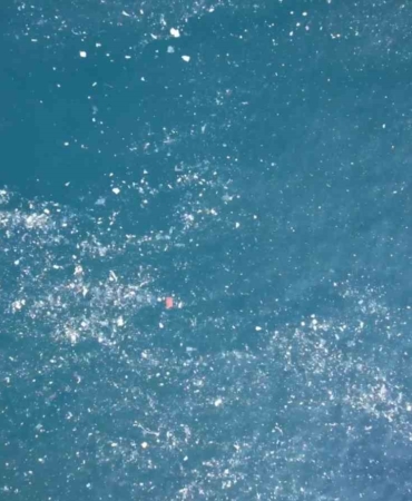 Balat sahilinde olta atan balıkçılar deniz yüzeyinde oluşan kirlilikten şikayetçi