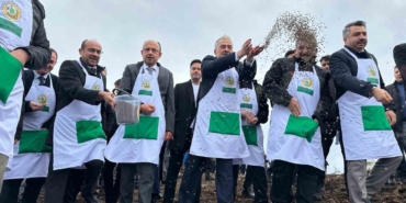 Harmancık’ta yanan 4 bin 256 hektar alan ağaçlandırılıyor