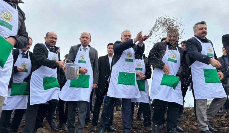 Harmancık’ta yanan 4 bin 256 hektar alan ağaçlandırılıyor