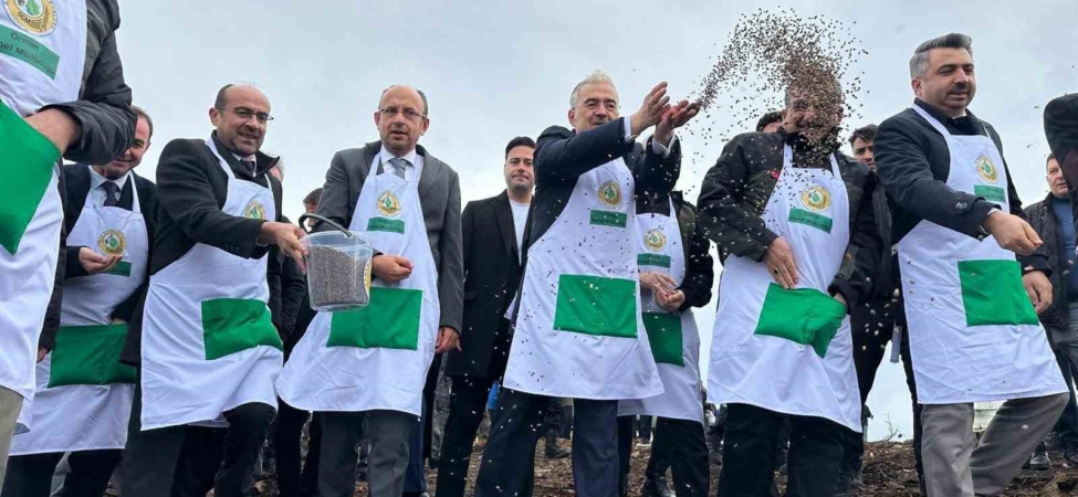 Harmancık’ta yanan 4 bin 256 hektar alan ağaçlandırılıyor