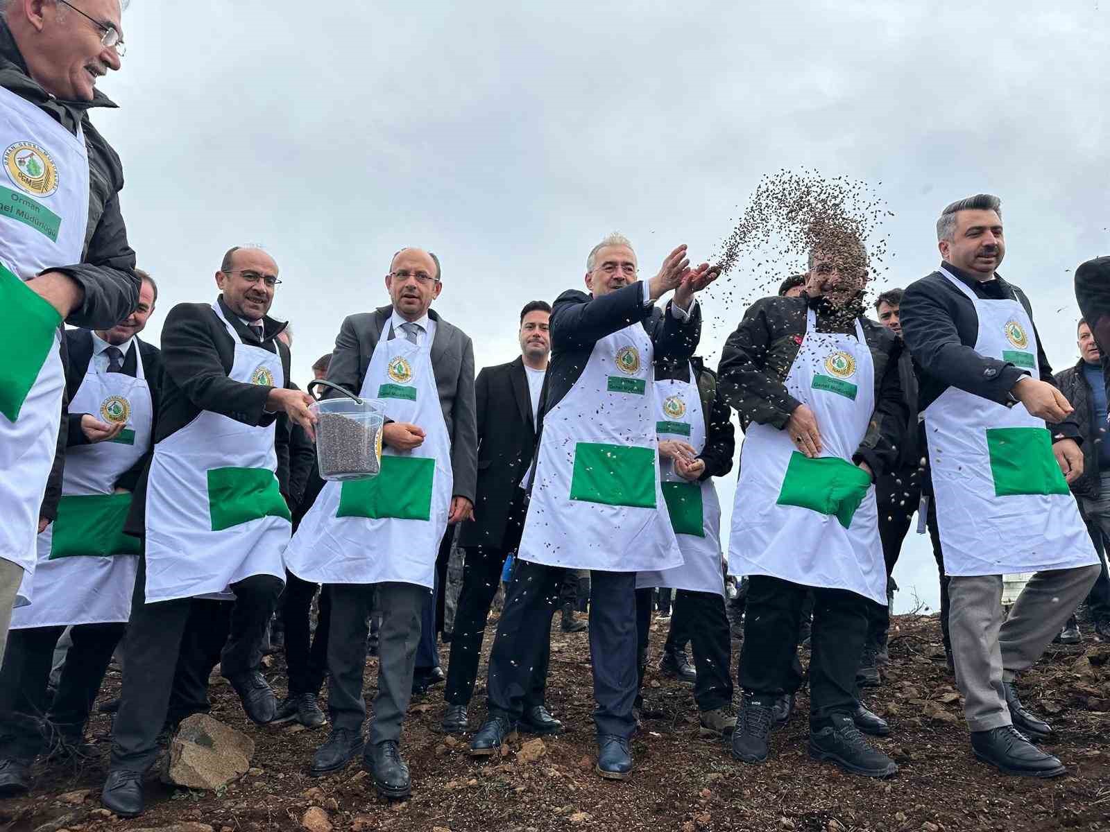 Harmancık’ta yanan 4 bin 256 hektar alan ağaçlandırılıyor