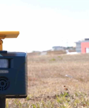 Sabiha Gökçen’de uçuş emniyeti için 7/24 yaban hayatla mücadele devam ediyor