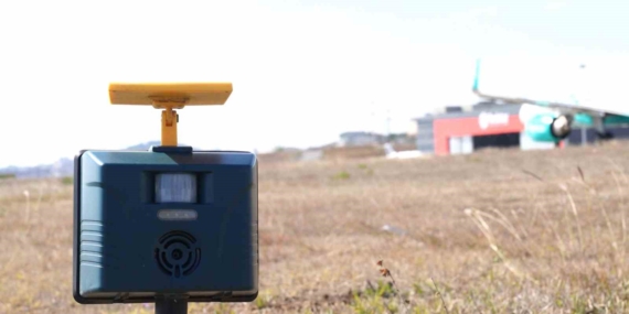 Sabiha Gökçen’de uçuş emniyeti için 7/24 yaban hayatla mücadele devam ediyor