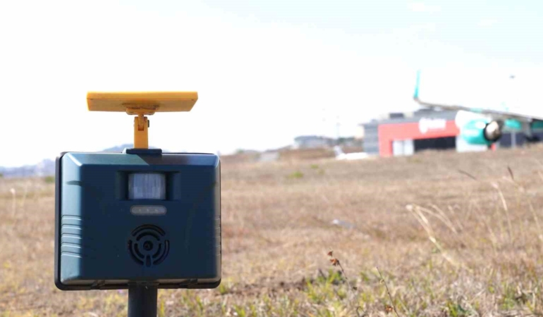 Sabiha Gökçen’de uçuş emniyeti için 7/24 yaban hayatla mücadele devam ediyor