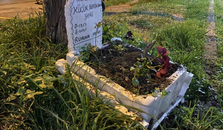 Taksicilerden vefa...Ölen muhabbet kuşları için mini mezar yaptılar