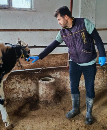 Şap hastalığına karşı aşılama çalışması yapıldı