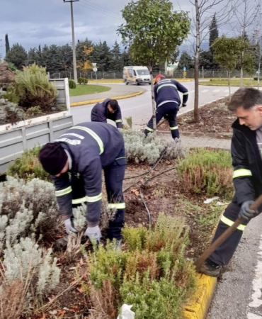 Körfez’de yeşil alanlar çiçeklerle süsleniyor